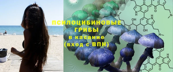марки nbome Алексеевка