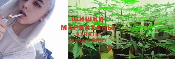 бошки Алзамай