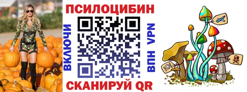 Псилоцибиновые грибы Psilocybe  наркотики  Канаш 
