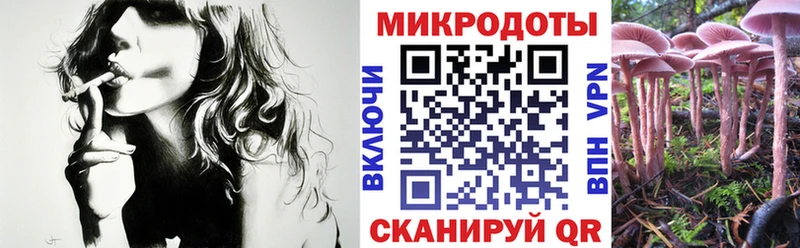 Галлюциногенные грибы Psilocybe Канаш
